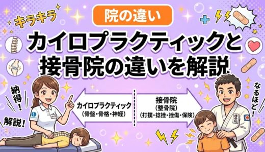 カイロプラクティックと接骨院の違いを解説