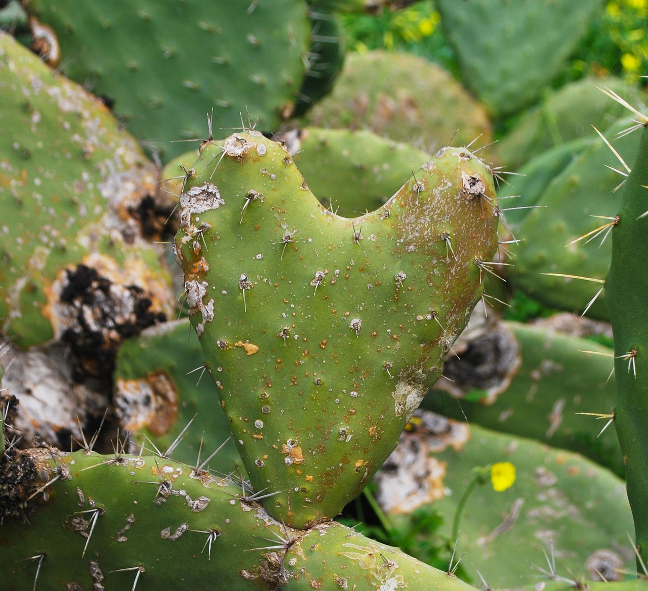 ぎっくり腰の応急処置|発症直後にやるべきこと