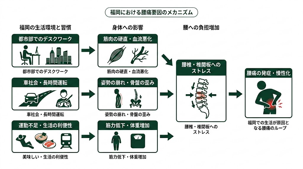 福岡で腰痛に悩む人が多い理由の図解