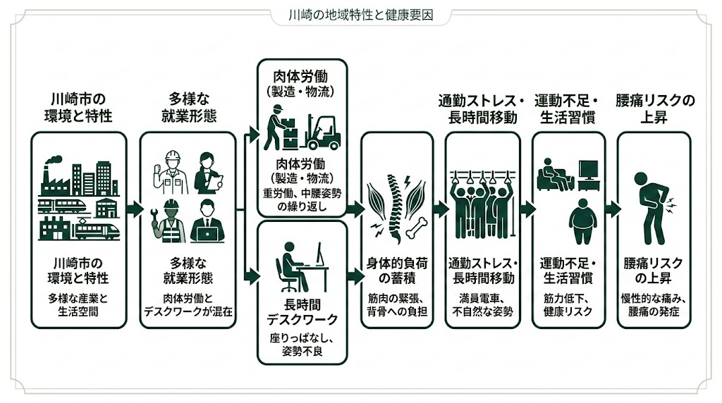川崎で腰痛に悩む人が多い理由の図解