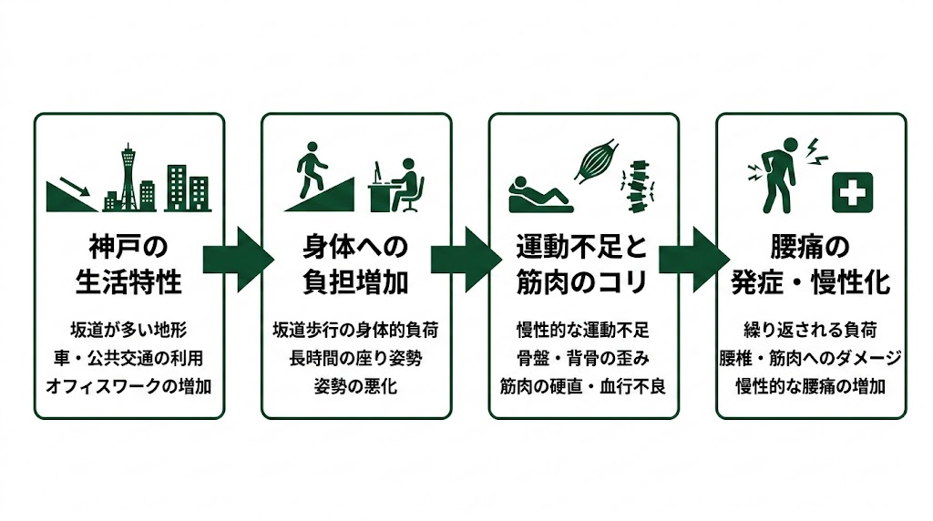神戸で腰痛に悩む人が多い理由の図解
