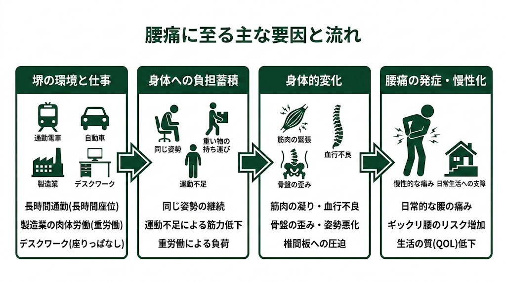 堺で腰痛に悩む人が多い理由の図解