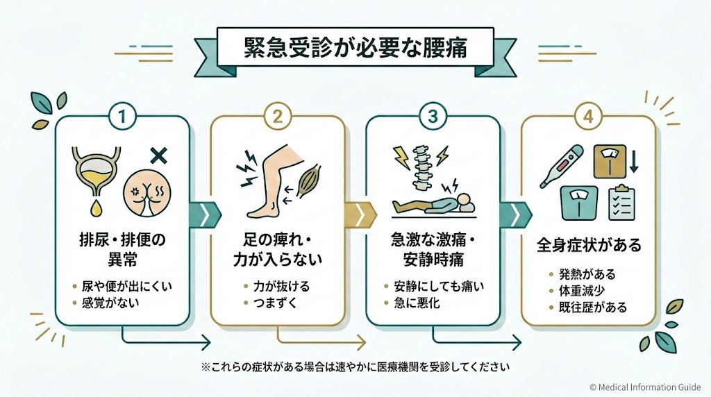 すぐに病院に行くべき危険な腰痛のサインの図解