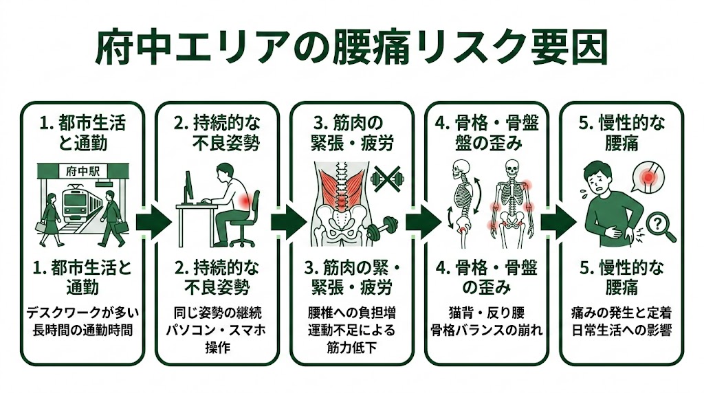 府中駅周辺で腰痛に悩む人が多い理由の図解