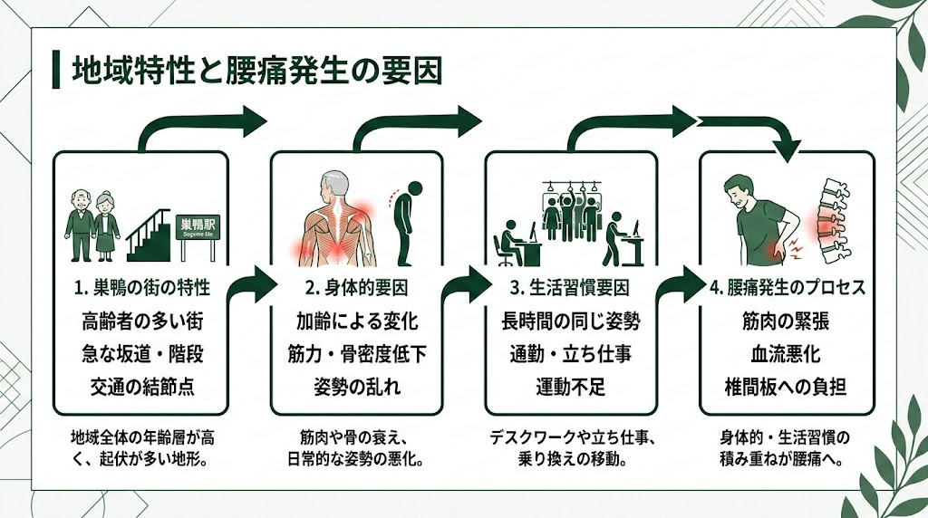 巣鴨駅周辺で腰痛に悩む人が多い理由の図解